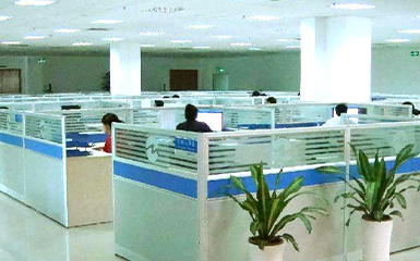 河南雙誠技術部增添綠植，提升辦公環(huán)境